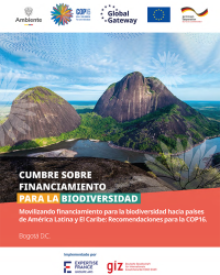 Movilizando financiamiento para la biodiversidad hacia países de América Latina y El Caribe: Recomendaciones para la COP16.