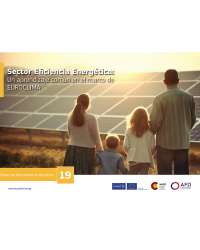 Sector Eficiencia Energética: Un aprendizaje común en el marco de EUROCLIMA